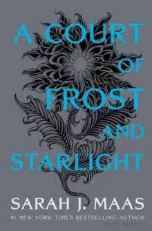 A Court of Frost and Starlight: A Companion Story by Sarah J. Maas - The Enchanted Archives