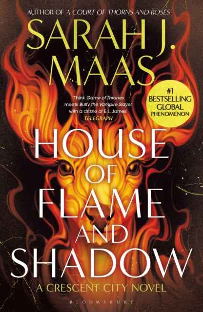House of Flame and Shadows by Sarah J. Maas - Fantasy Novel, Book 1 in the Series - The Enchanted Archives